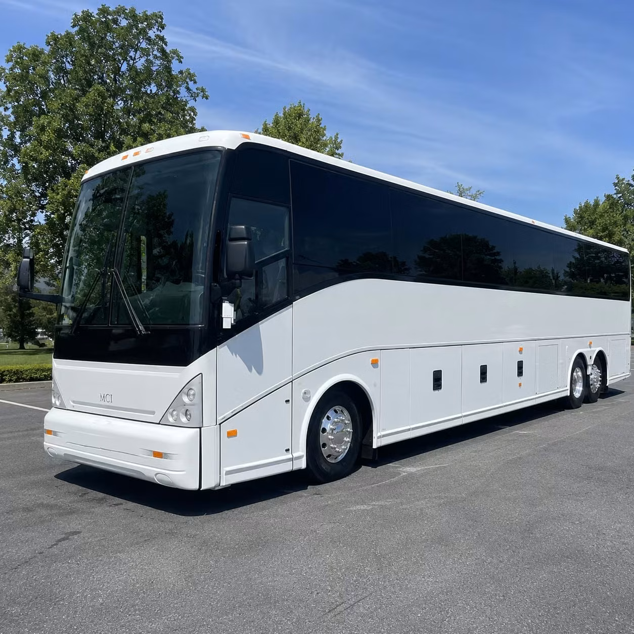 charter buses make san diego zoo field trips from moreno valley way easier